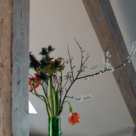 Stadtflucht Homes Lofts
